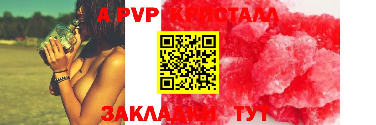 А ПВП крисы CK  Alfa_PVP  Вход с VPN  Киров  Alfa_PVP СК КРИС 